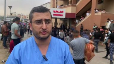'Newborns in ICU are facing death': Gaza hospital doctor