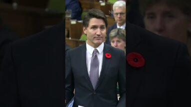 "No vision": Trudeau tells Poilievre to put his glasses back on
