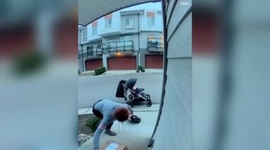 Porch pirate in B.C. steals package while walking with child in stroller