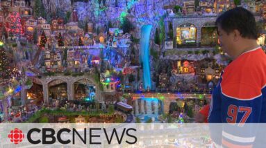 Christmas dream village runs big on holiday spirit