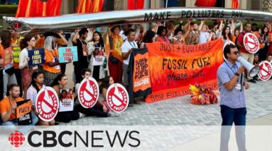 COP28 delegates under pressure to address fossil fuels