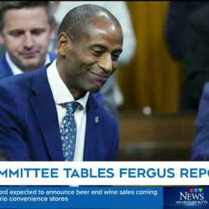 House committee recommends House Speaker Fergus to apologize, pay fine