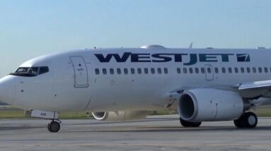 'Ludicrous': WestJet mechanics raising alarm over safety