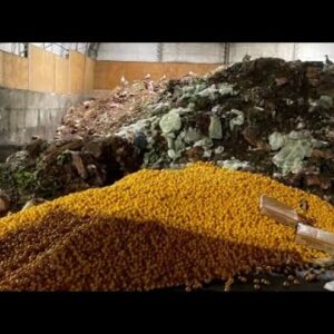 Piles of oranges at dump in B.C. draw food waste concerns