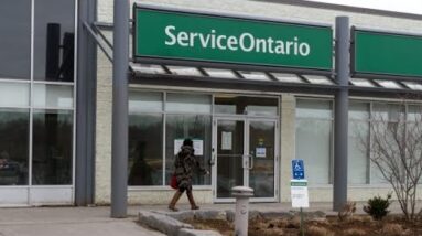 ServiceOntario information of hundreds of drivers trafficked in auto-theft ring