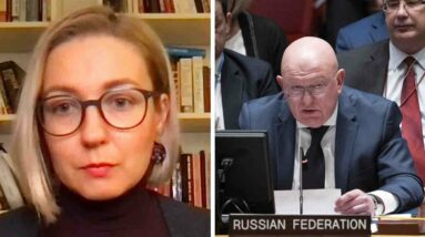 UN council 'undermined' by Russia's presence: Ukrainian MP