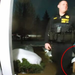 WATCH | Illinois deputy completes delivery after DoorDash driver arrested