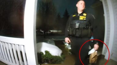 WATCH | Illinois deputy completes delivery after DoorDash driver arrested