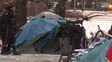 Edmonton mayor expected to declare homelessness emergency