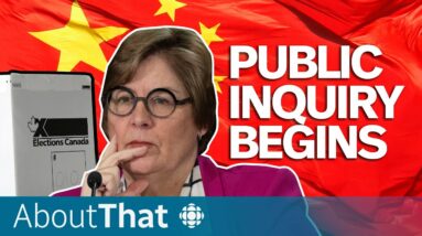 How did China interfere in Canadian elections? | About That