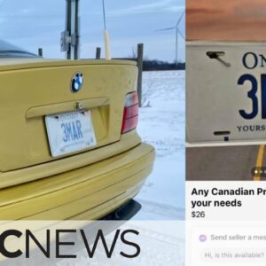 How easy is it to duplicate an Ontario licence plate?