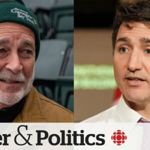 Liberal MP says Trudeau should face leadership review | Power & Politics