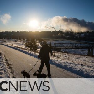 Edmonton's extreme cold strains Alberta's energy grid, triggers emergency alert