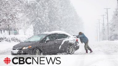 Parts of B.C. dealing with major snowfall, closed schools, difficult travel