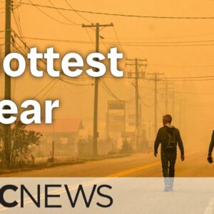 What the hottest year on record means for our future