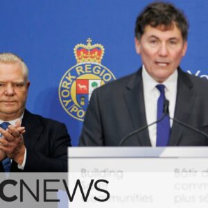 Feds giving Ontario $121 million to tackle car thefts, gun and gang violence