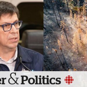 Alberta fighting wildfires 'as we speak,' minister says | Power & Politics