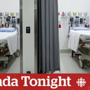 Oxford researchers say privatization of health care leads to worse quality of care | Canada Tonight