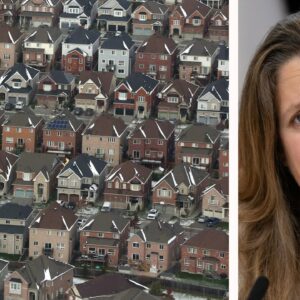Canada housing crisis | Freeland: Homes are 'not a speculative asset'