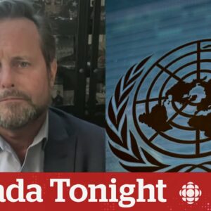 Former Navy SEAL 'not surprised' at over U.S. vetoing UN ceasefire call | Canada Tonight