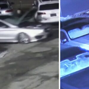 Fake buyer steals Mercedes from Quebec dealership with hood open