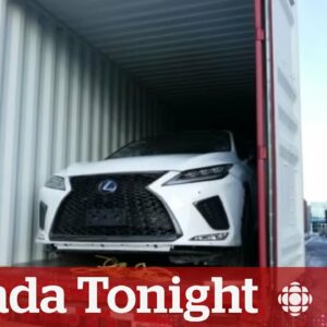 How a Minnesota city fixed its auto theft problem | Canada Tonight