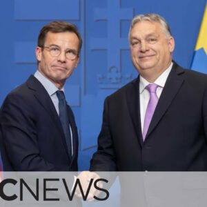 Hungary clears way for Swedish bid to join NATO