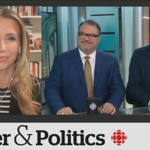 Political Pulse Panel: Auto theft, gender policy dominate political conversation in Ottawa