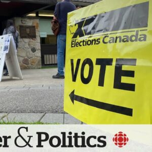 Political Pulse Panel: Does a pharmacare deal forestall the prospect of an early election?