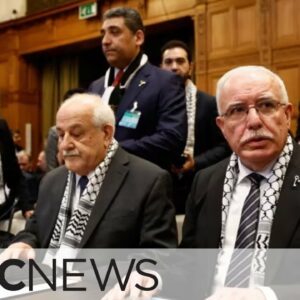 ICJ hearings begin on legality of Israeli occupation of Palestinian territories