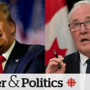 Canada shouldn't 'overreact' to Trump's NATO comments, defence minister says | Power & Politics
