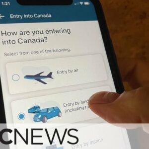 Suspended public servants say they're being scapegoated over ArriveCan app