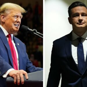 POLL | Pierre Poilievre the best leader to negotiate with Donald Trump