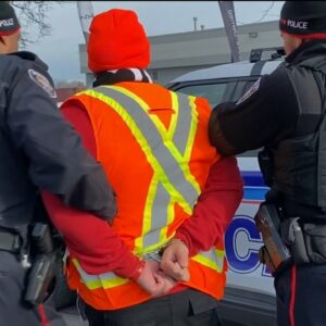 PSAC union executive arrested during strike rally in Ottawa