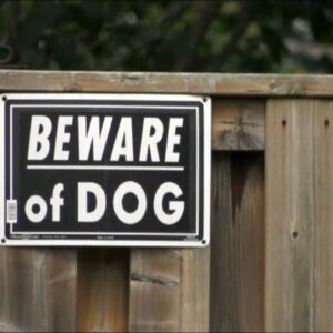 Toronto considering list of 'dangerous' dogs after attacks
