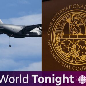 U.S. airdrops meals into Gaza, Nicaragua drags Germany to ICJ for Israel aid | Your World Tonight