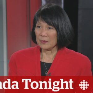 A car was stolen every 40 minutes in Toronto in 2023 | Canada Tonight