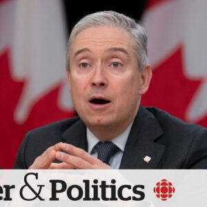 How will Canada ease U.S. tensions amid potential Trump presidency? | Power & Politics