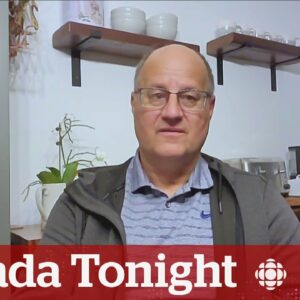 Canadian details escape from Haiti without Ottawa's help | Canada Tonight