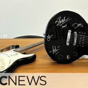 Charity auctions off donated guitar signed by Guns N’ Roses