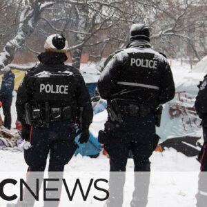 Edmonton's police chief on the city's encampment removal strategy