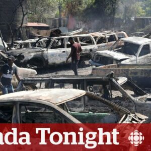 Ottawa's assistance for Canadians in Haiti overdue, says non-profit director | Canada Tonight