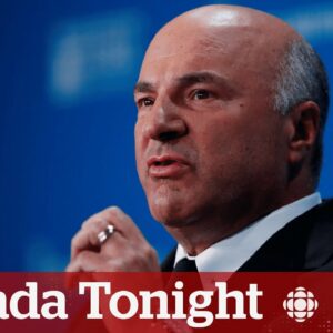 Kevin O'Leary discusses his offer to buy TikTok | Canada Tonight