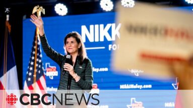 Nikki Haley to drop out of presidential race: media reports
