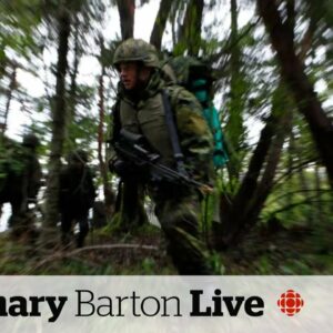 Growing number of Canadians anxious about state of Canada's military, polls show