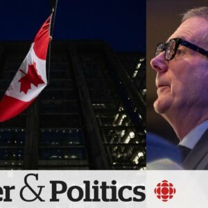 What contributed to Canada's slowed inflation rate in February? | Power & Politics