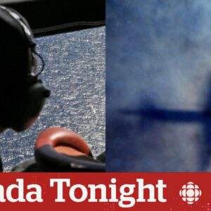 Loved ones still looking for answers 10 years after flight MH370 vanished | Canada Tonight