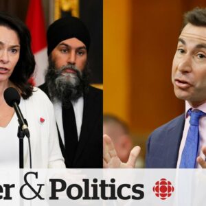 NDP motion forces divisive vote on recognizing Palestinian statehood | Power & Politics