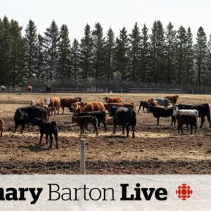 Saskatchewan farmer says rebates don't offset carbon tax in agriculture