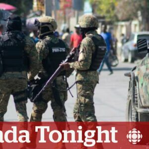 Should Canada intervene in Haiti? | Canada Tonight